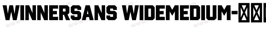 WinnerSans WideMedium字体转换